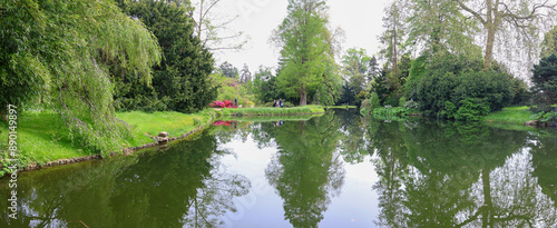 Fotografie lake in the forest