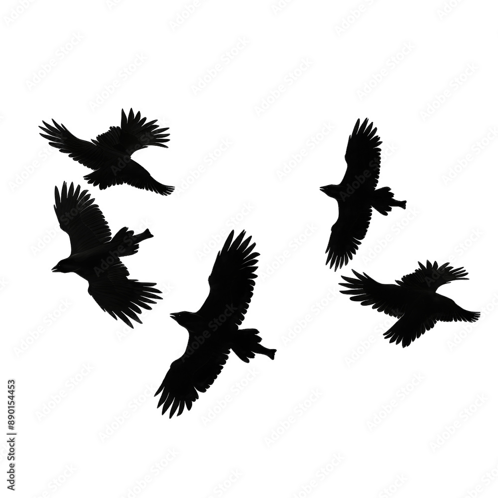 bird silhouette illustration bird silhouette illustration