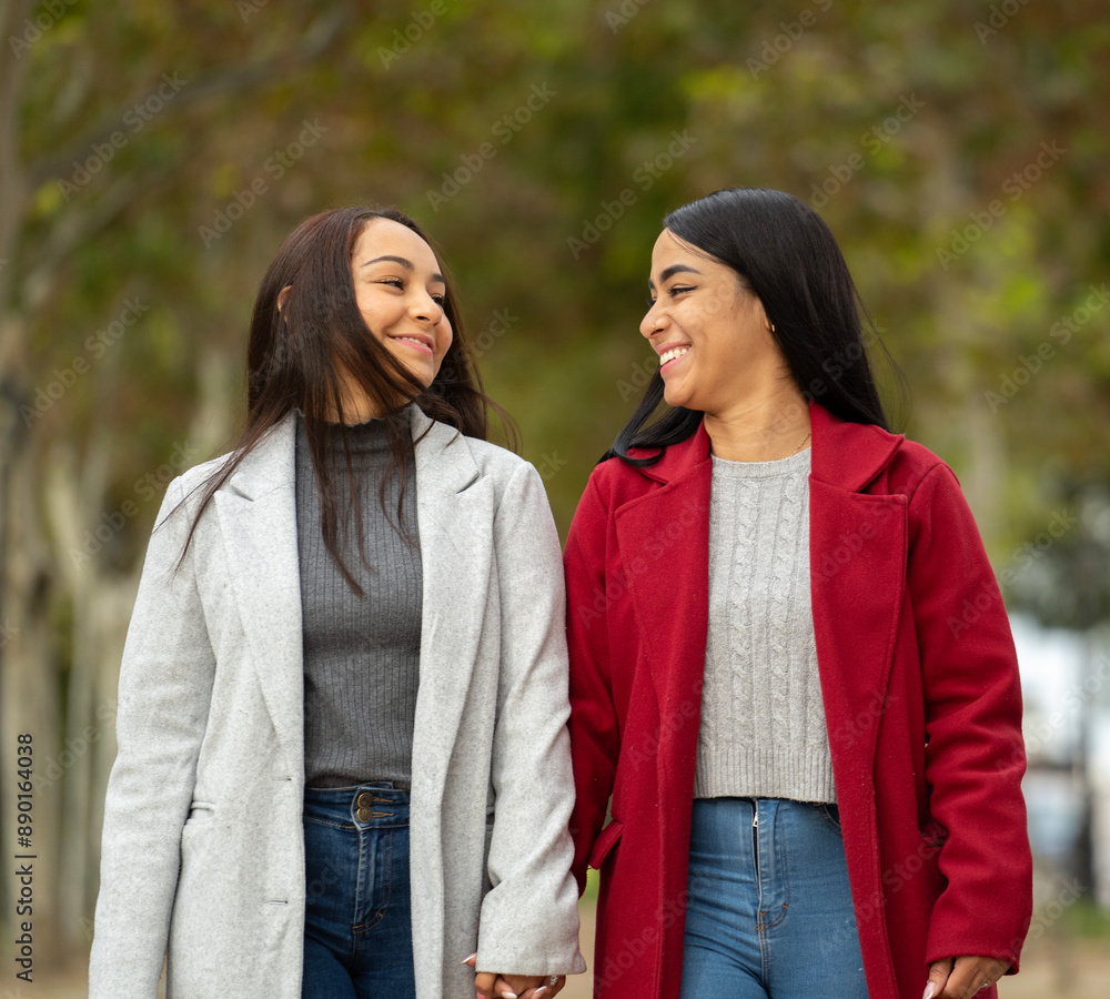 portrait of lesbian smiling couple walking in a park holding their hands and looking at each other portrait of lesbian smiling couple walking in a park holding their hands and looking at each other