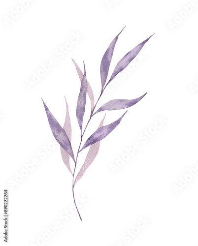 Watercolor illustration of a purple twig with leaves. Hand drawn picture isolated on white background, single element. Violet, lilac, lilac color, botany.