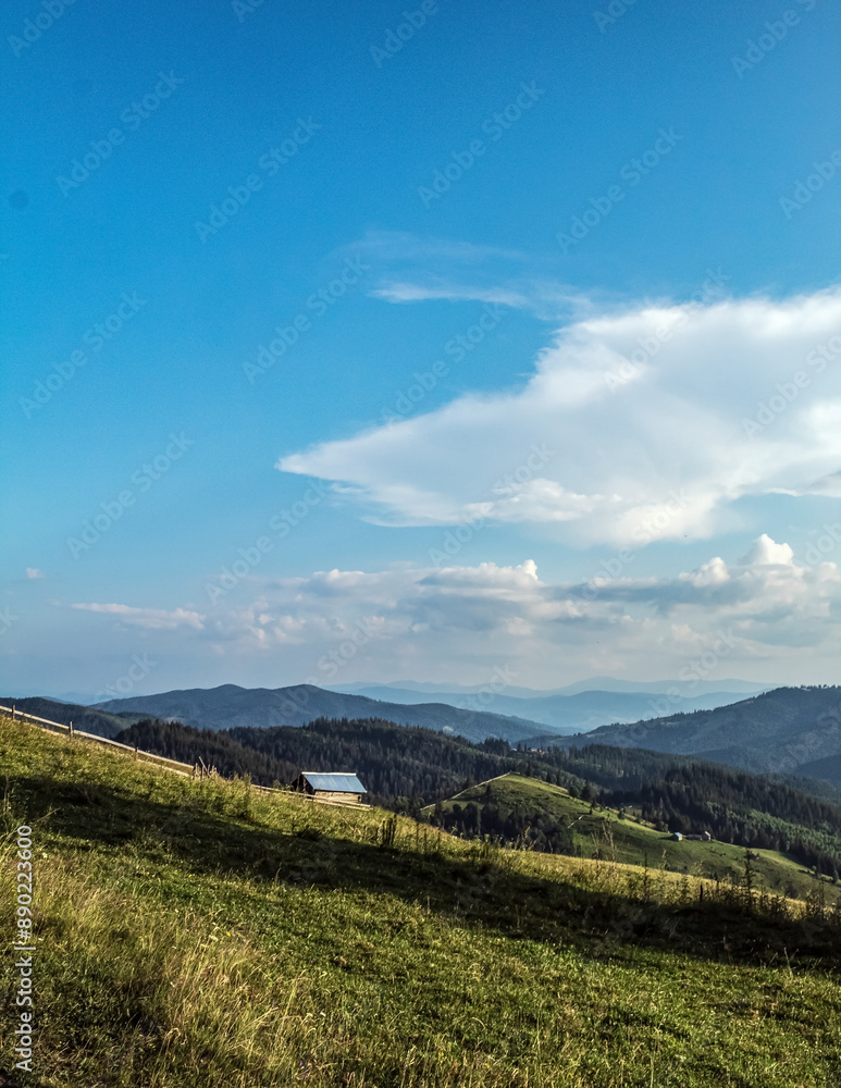 Landscapes - Forest - Europe, Romania, Suceava region Landscapes - Forest - Europe, Romania, Suceava region
