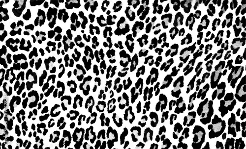 leopard skin pattern - black and white (artwork 2)