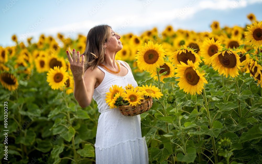 Junge Frau steht in einem Sonnenblumenfeld bei schönem Wetter im Sonnenlicht. Junge Frau steht in einem Sonnenblumenfeld bei schönem Wetter im Sonnenlicht.