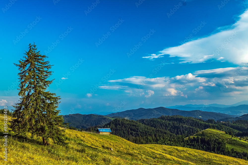 Fototapeta premium Landscapes - Forest - Europe, Romania, Suceava region