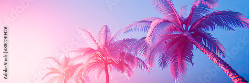 Palmen im tropischen Regenwald  photo