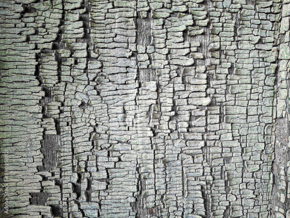 Fototapeta premium The texture of old cracked paint in close-up
