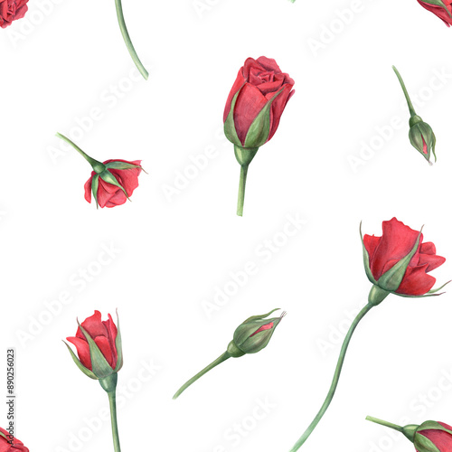 Red roses. Flying single Flowers and buds. Seamless pattern with garden scarlet rose. Blooming flower. Watercolor illustration of summer plants. For wedding design, memorial day