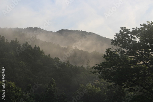 霧に包まれた群馬県の山間