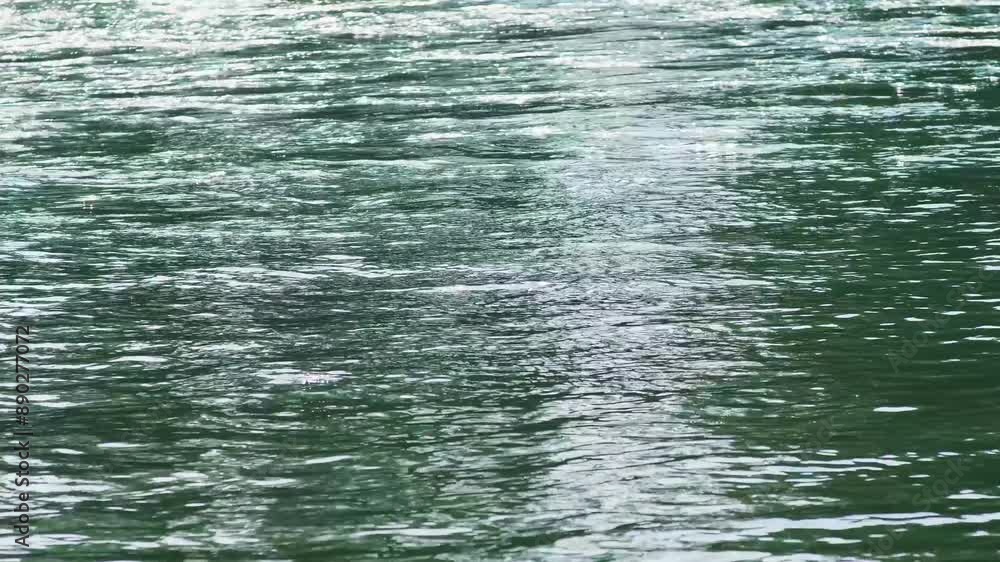 Adda, fiume Adda, river, wild rivers, flowing water, bright, water, riverside, trees, tree, wood, mountain, clear water, nature Adda, fiume Adda, river, wild rivers, flowing water, bright, water, riverside, trees, tree, wood, mountain, clear water, nature