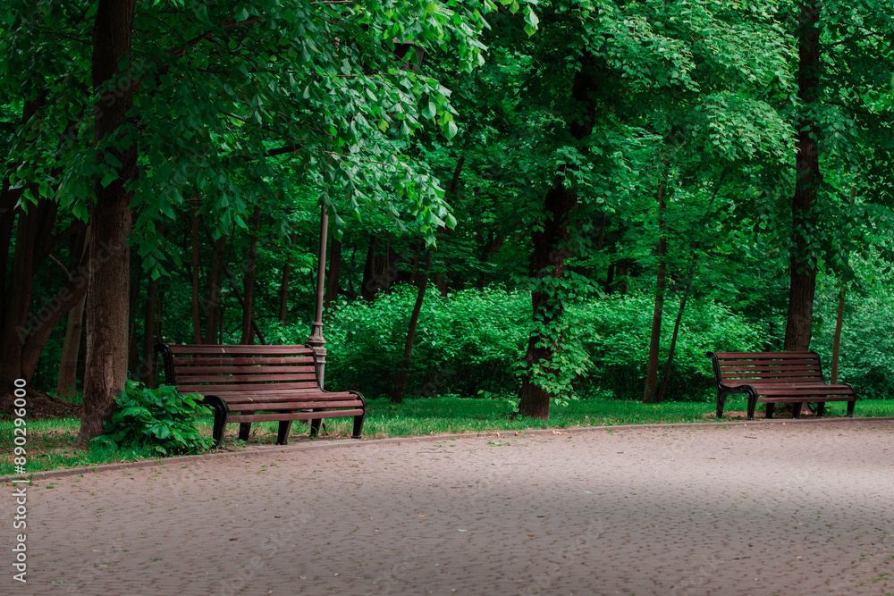 idyllic summer time day park natural August environment space pavement cobble stone road for walking in green trees surroundings idyllic summer time day park natural August environment space pavement cobble stone road for walking in green trees surroundings