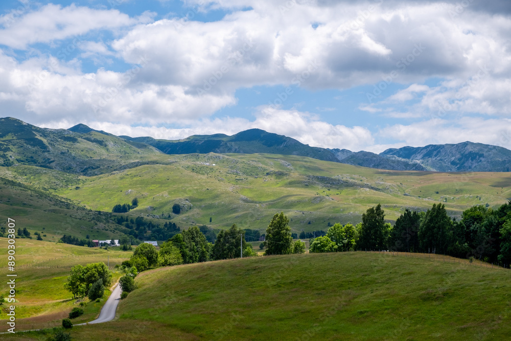Road through grassy hillside with mountains in background Road through grassy hillside with mountains in background