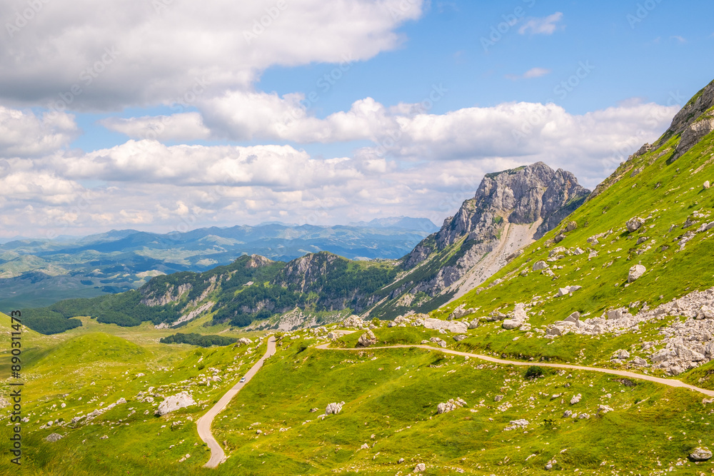 Naklejka premium A dirt road winds through a lush mountain valley under a clear sky