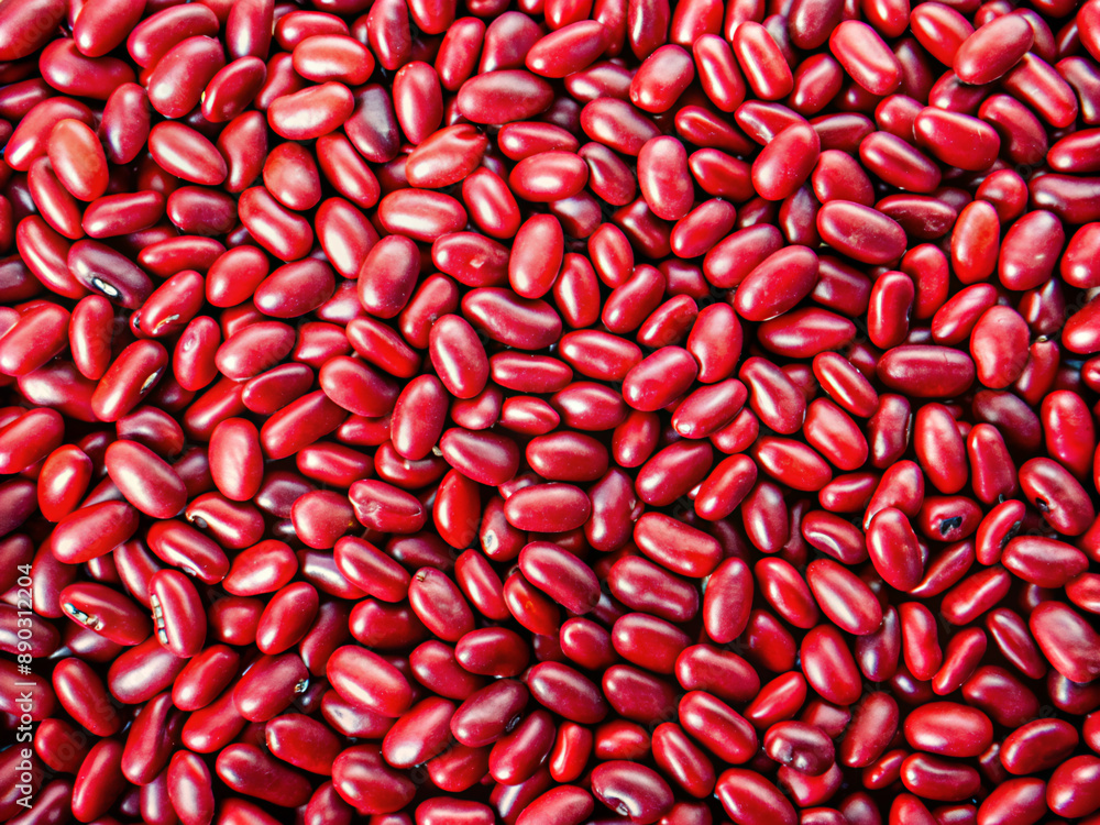red beans background, grain, healthy, beans, ingredient, sunflower, white, kidney, macro, raw, organic, closeup, seeds, texture red beans background, grain, healthy, beans, ingredient, sunflower, white, kidney, macro, raw, organic, closeup, seeds, texture