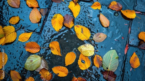 Golden autumn leaves on a wet sidewalk