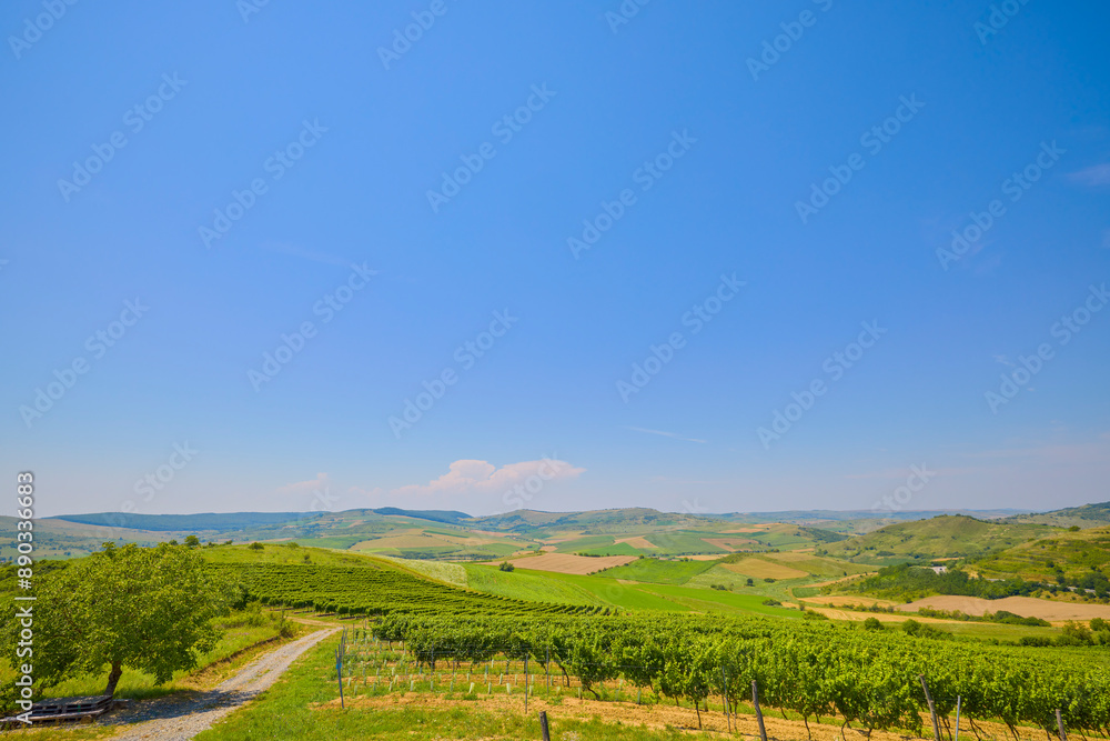 landscape with the rural area in the mountains of Maramures in Romania.