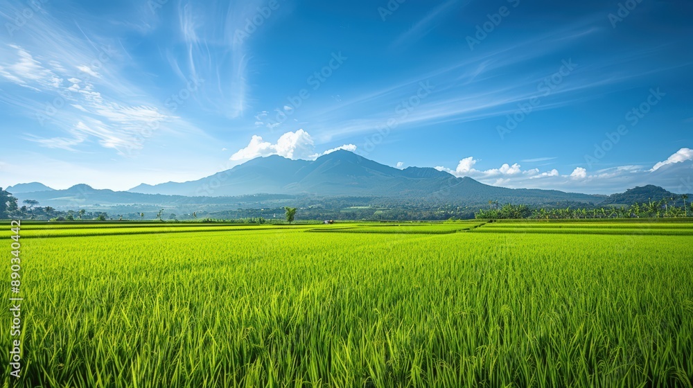 A field of green grass with a mountain in the background A field of green grass with a mountain in the background