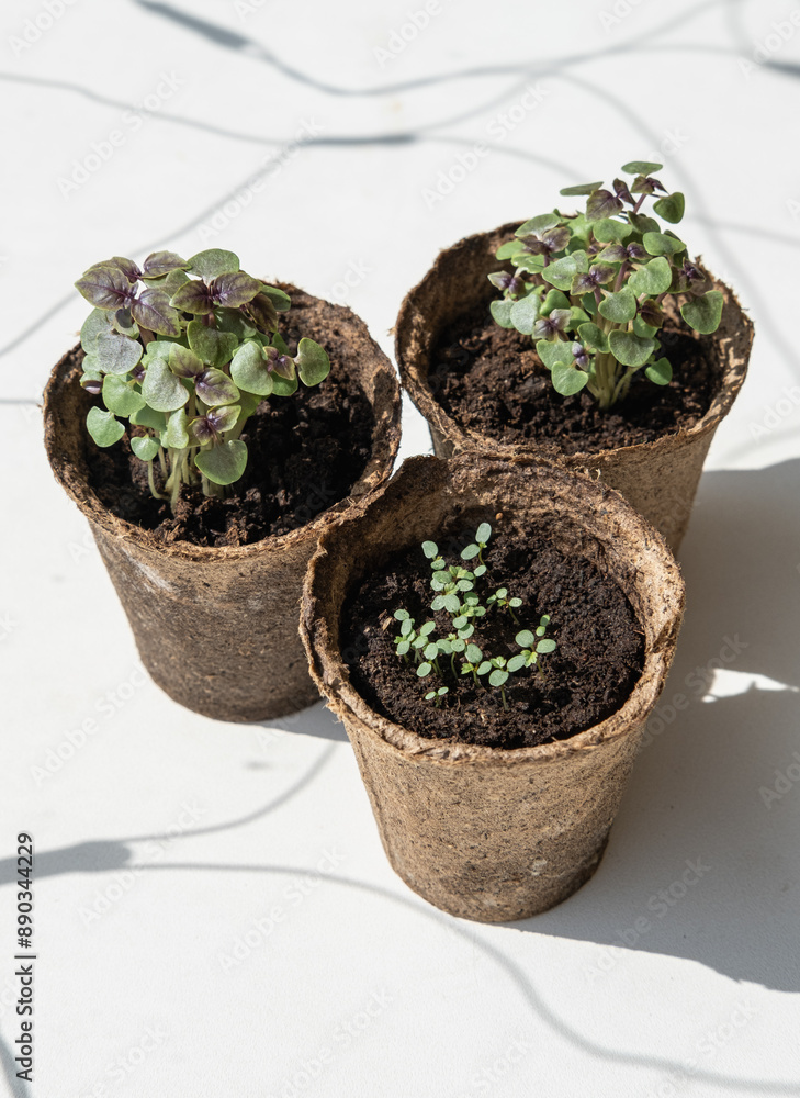 Garden concept: seeds, pots and little instruments like a shovel and rake on white background. Environmental conservation, eco concept Garden concept: seeds, pots and little instruments like a shovel and rake on white background. Environmental conservation, eco concept