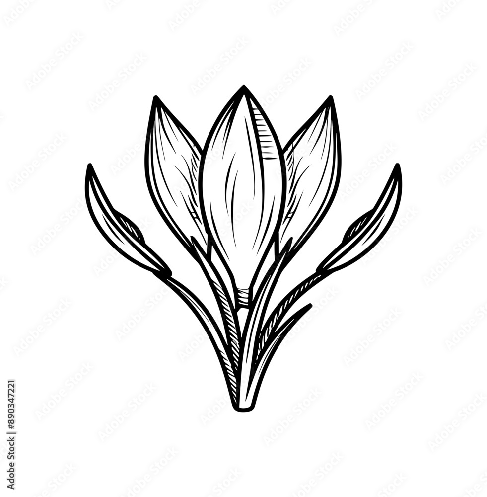 vector drawing flowering branch of flowers with leaves and flowers, azalea, hand drawn vintage illustration vector drawing flowering branch of flowers with leaves and flowers, azalea, hand drawn vintage illustration
