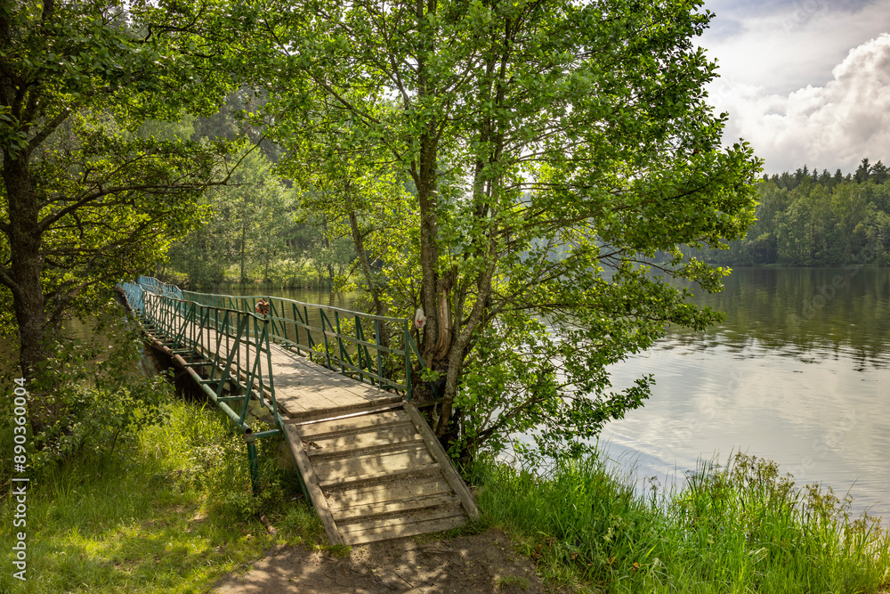 A bridge over a river with a tree in the middle A bridge over a river with a tree in the middle