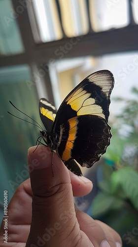 A person is holding a black...