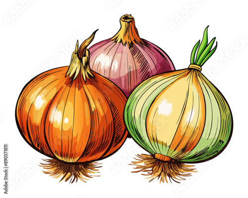 illustration Vector of fresh onions on isolated white background, vegetabes and fruit cartoon photo