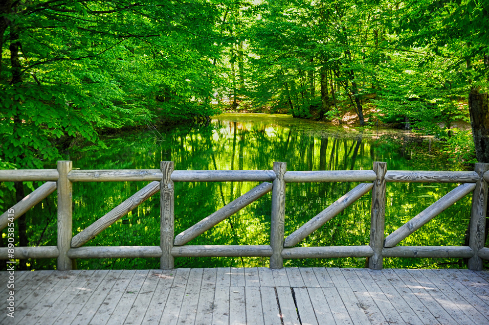 Beautiful nature view in Seven Lakes (Yedi Goller) National Park, Bolu, Turkey. Beautiful nature view in Seven Lakes (Yedi Goller) National Park, Bolu, Turkey.