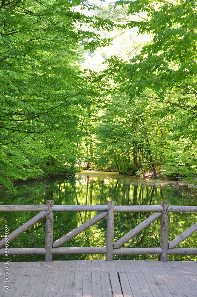 Beautiful nature view in Seven Lakes (Yedi Goller) National Park, Bolu, Turkey. Beautiful nature view in Seven Lakes (Yedi Goller) National Park, Bolu, Turkey.