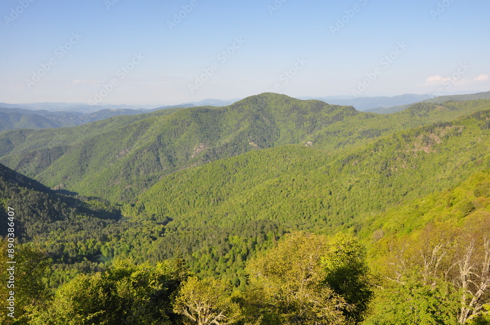 Beautiful nature view in Seven Lakes (Yedi Goller) National Park, Bolu, Turkey. Beautiful nature view in Seven Lakes (Yedi Goller) National Park, Bolu, Turkey.
