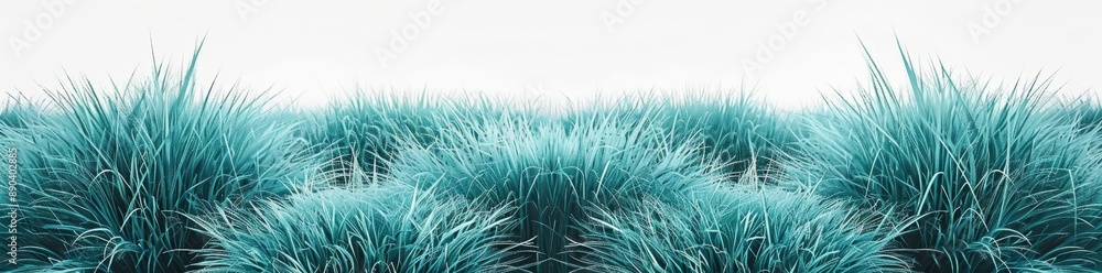 PNG File Of Fuzzy Tufted Hair On Transparent Background Isolated On A Jungle Background PNG File Of Fuzzy Tufted Hair On Transparent Background Isolated On A Jungle Background