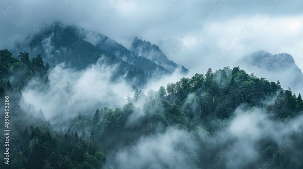 Dense mist on the peaks Dense mist on the peaks