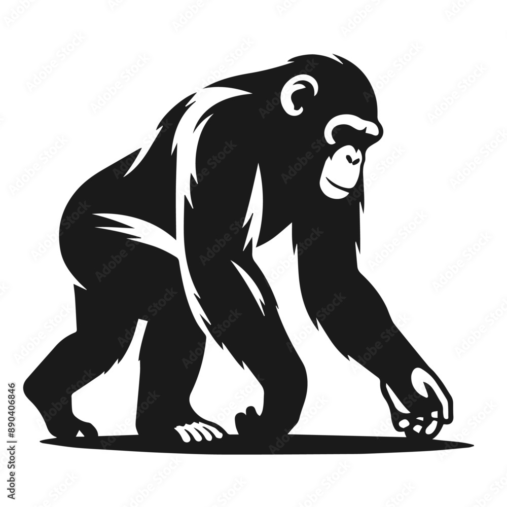 Fototapeta premium Black and white vector silhouette of a Monkey isolated on white background