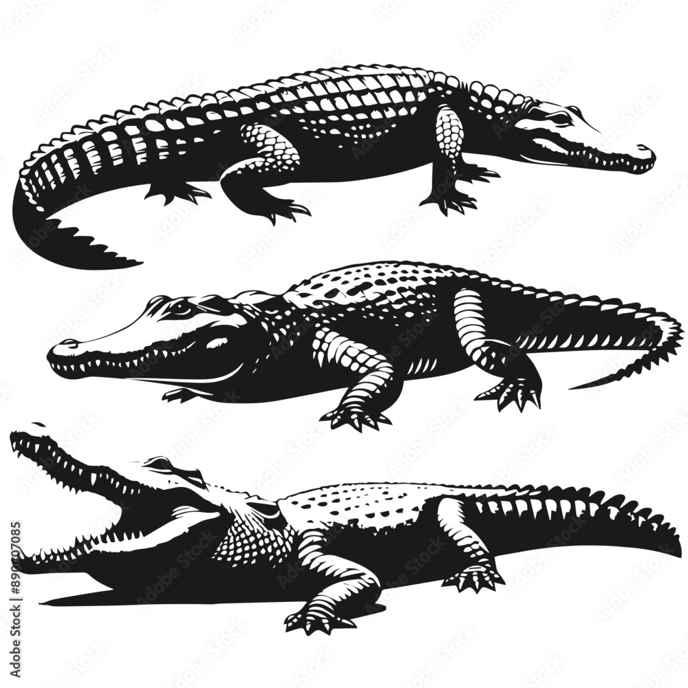 Black and white vector silhouette of a
Crocodile isolated on white background
Black and white vector silhouette of a
Crocodile isolated on white background