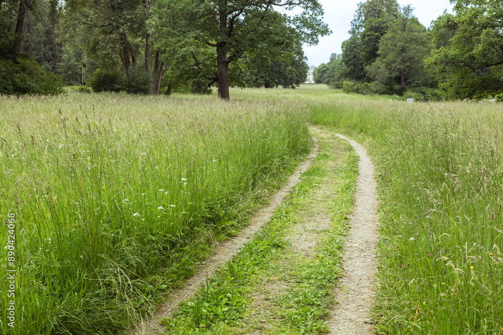 a path in a green meadow nature scenery landscape a path in a green meadow nature scenery landscape