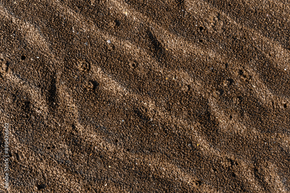 Natural texture: top view of beach sand, clear, clean and smooth. Minimalist background for summer concepts, travel, vacations and outdoor enjoyment. Natural texture: top view of beach sand, clear, clean and smooth. Minimalist background for summer concepts, travel, vacations and outdoor enjoyment.
