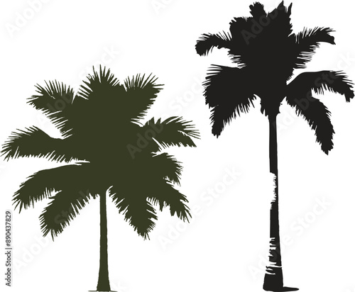 palm tree silhouette vector isolated on white background.