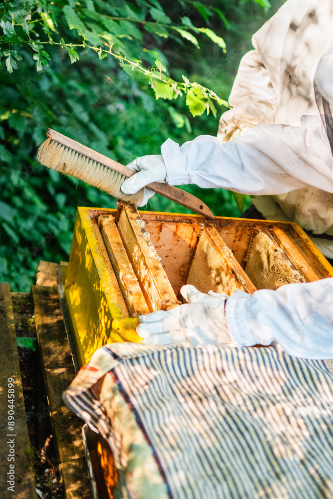 Naklejka premium Beekeeper in White Protective Suit Beekeeping the Beehives While Beekeeping