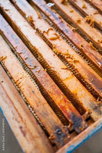 Top View of a Beehive with Wooden Frames Filled with Honeycombs and Honey Cells