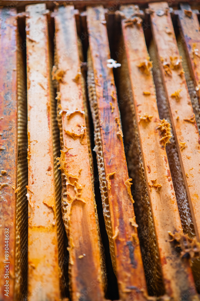 Top View of a Beehive with Wooden Frames Filled with Honeycombs of a Bee Colony Top View of a Beehive with Wooden Frames Filled with Honeycombs of a Bee Colony