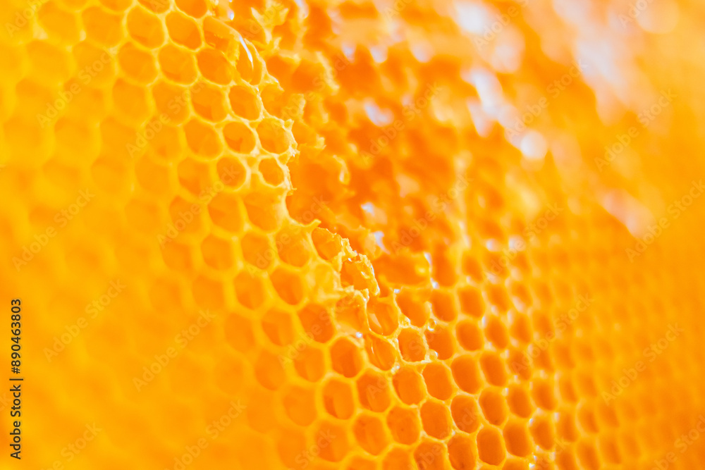 Sweet Golden Bee Honey Dripping Out of Beautifully Structured Honeycomb Cells Close Up