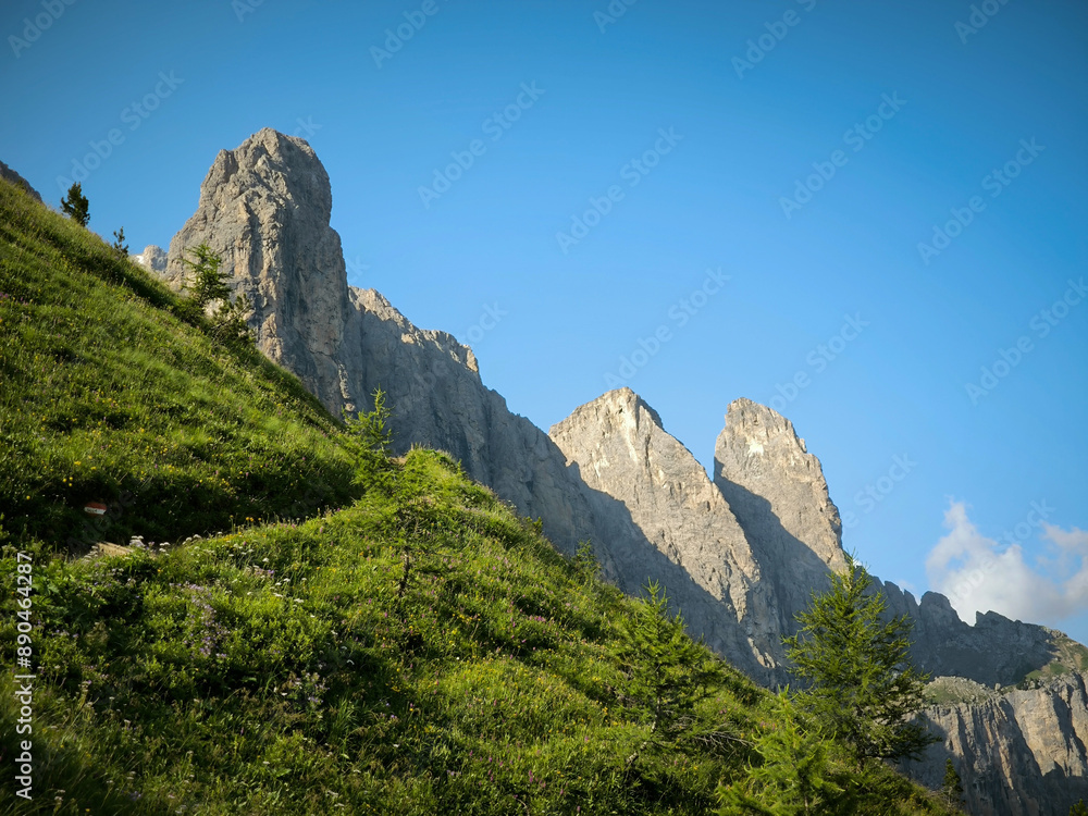 Fototapeta premium landscape in the mountains
