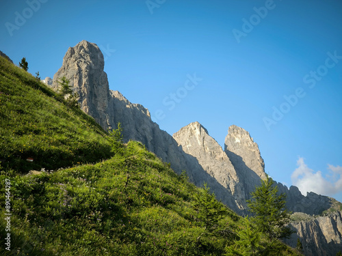 landscape in the mountains