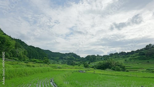 Scenery of rice paddies and satoyama after rice planting is over photo