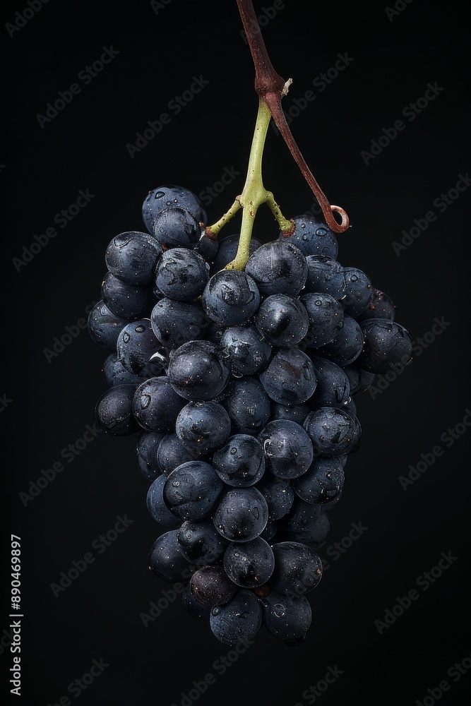 Fototapeta premium Mystic photo of Black Corinth Grape, isolated on black background