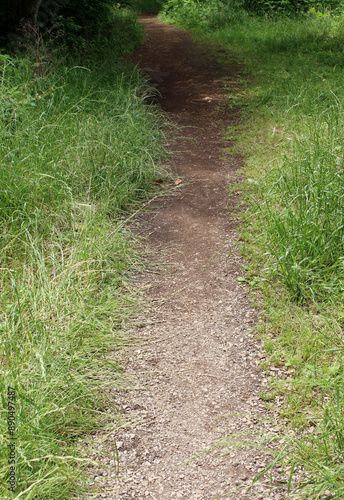 Path in a garden. Green grasses on each side of a footpath. Background.