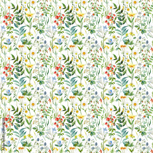 Wild flowers vector collection. Herbs, herbaceous flowering plants, blooming flowers, subshrubs isolated on white background