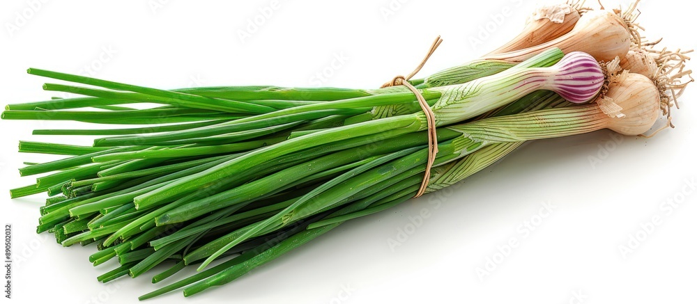Fototapeta premium Fresh Bunch of Green Onions