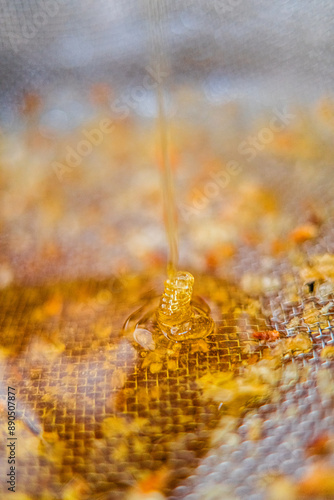 Viscouse Golden Bee Honey Dripping Down Into the Filtration Sieve Extreme Close Up photo