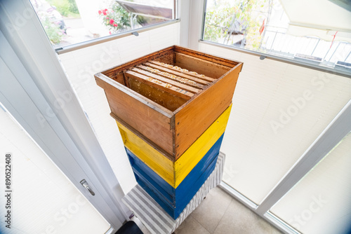 Stack of Beehives with Wooden Frames Hanging Vertically in the Box