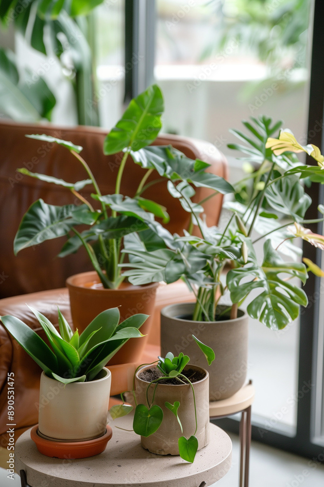 plant in a pot plant in a pot