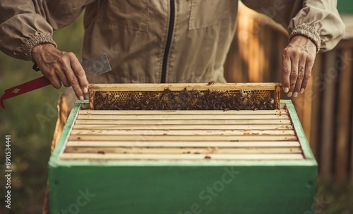 Rural and natural beekeeper, working to collect honey from hives
